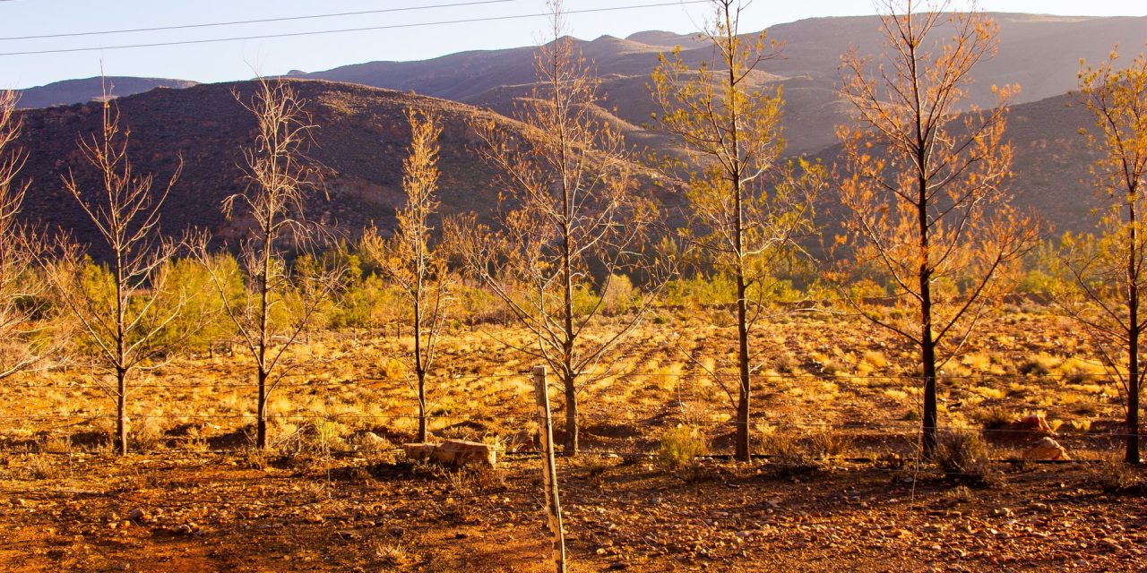Climate Change, Major Challenge to Agriculture Development