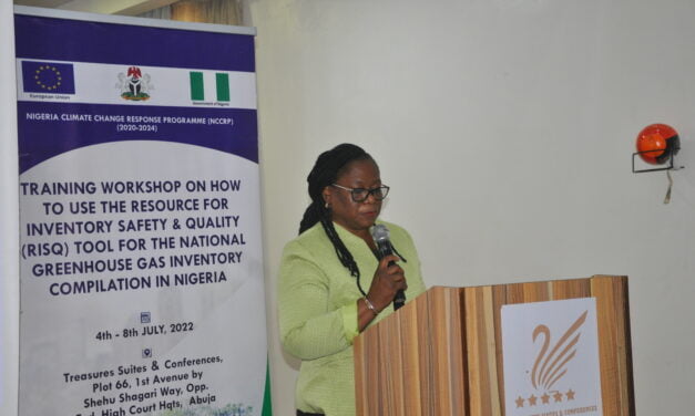 EU trains Nigeria experts on use of National GHG Inventory Compilation Tool-RISQ